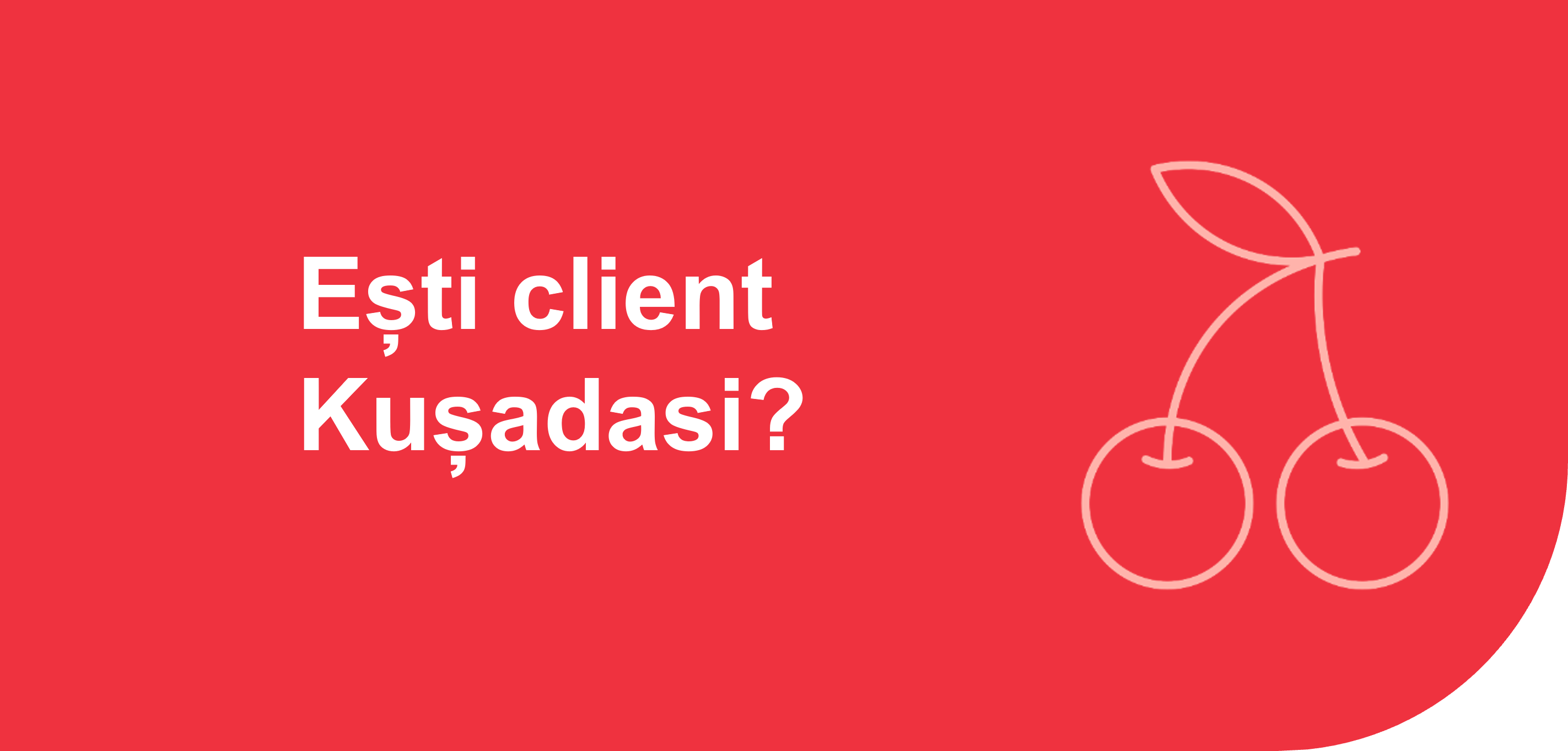 Informații pentru clienții Kușadasi